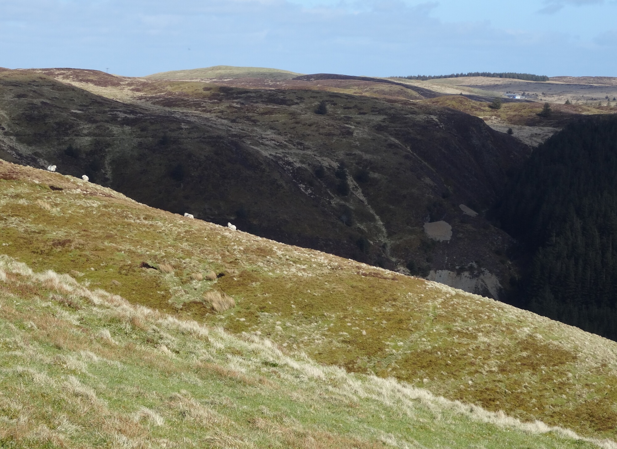 RachelSeabrook.net | Wild Walking | Ponterwyd and Pen Dihewyd | pic30